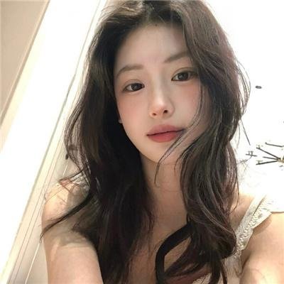 狗狗间谍